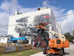 Canvas Murals