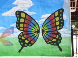 Canvas Murals