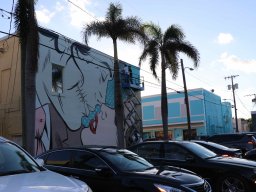 Canvas Murals